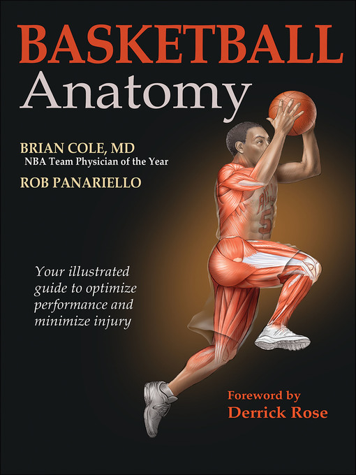 Cover image for Basketball Anatomy